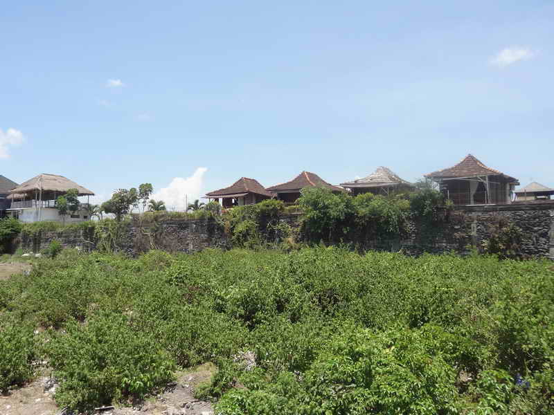 flcanggu65